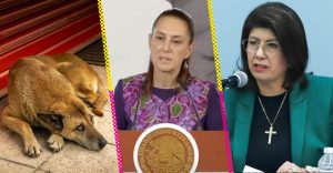mariela-gutierrez-expresidenta-municipal-tecamac-reconoce-haber-sacrificado-10-mil-perros-nueva-destacada