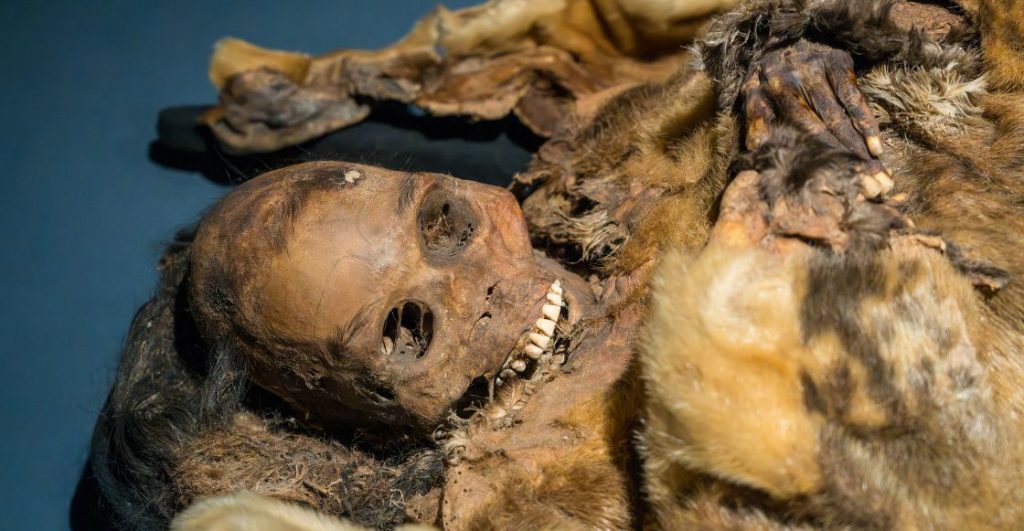 Imagen de una momia