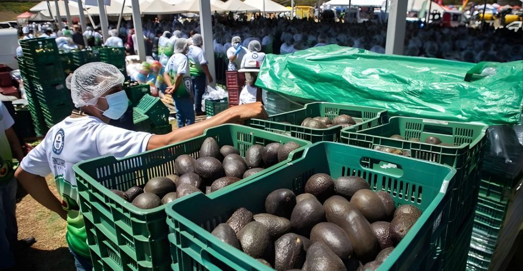 Rompen récord en México con un guacamole gigante de casi 7 toneladas