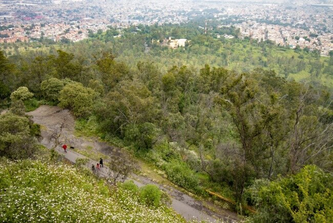 Viajecitos de domingo presenta: Visita al Parque Nacional Cerro de la Estrella