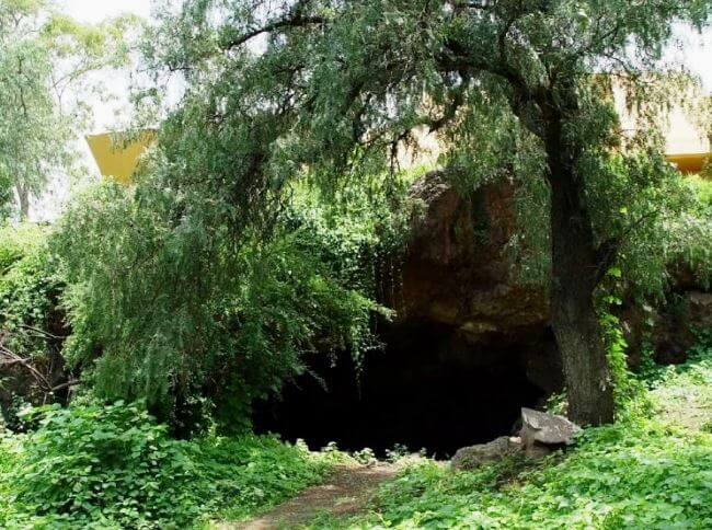 Viajecitos de domingo presenta: Visita al Parque Nacional Cerro de la Estrella