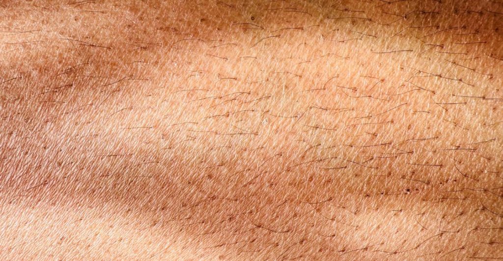 Pelo en el cuerpo