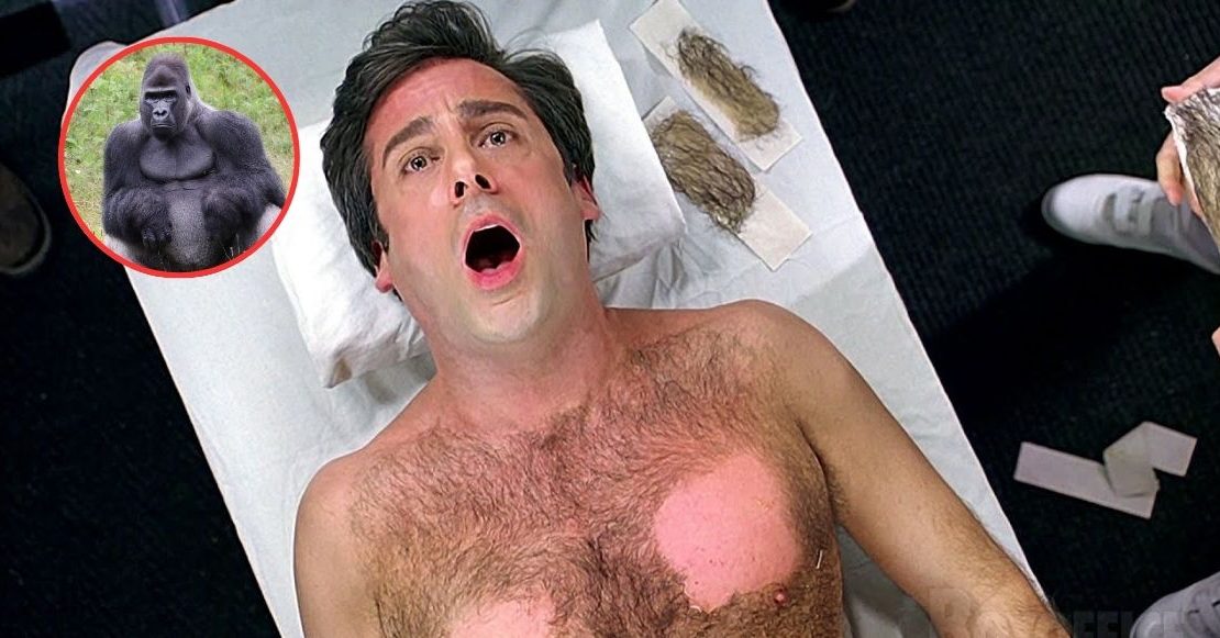 ¿Por qué los humanos no tienen pelo en todo el cuerpo como otros mamíferos?