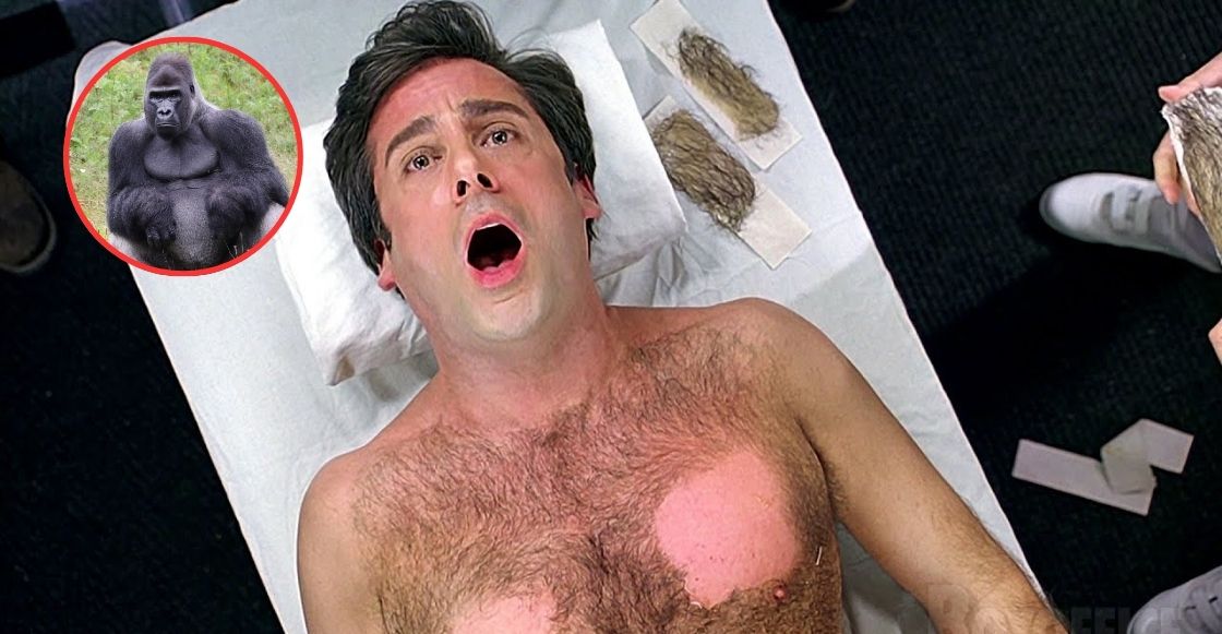 ¿Por qué los humanos no tienen pelo en todo el cuerpo como otros mamíferos?