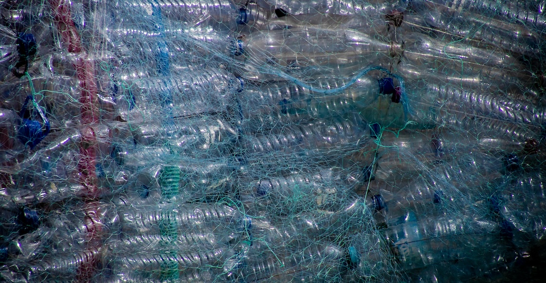 ¿Este es el fin del plástico? Una bacteria podría ser la nueva heroína ecológica