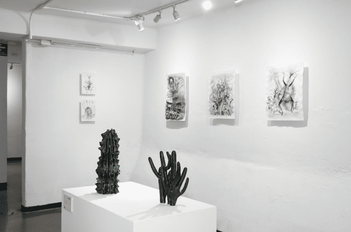 Transitar el desierto