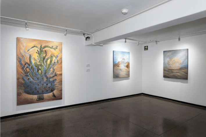 Transitar el desierto