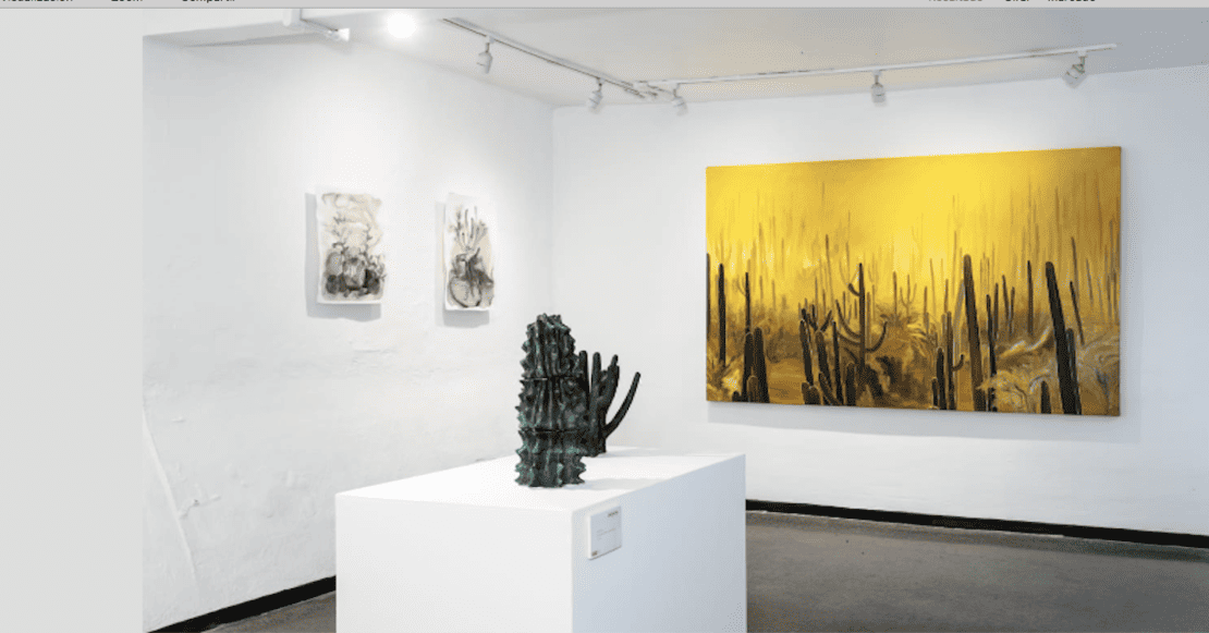 Transitar el desierto: una exposición para significar      los páramos de México