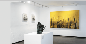 Transitar el desierto