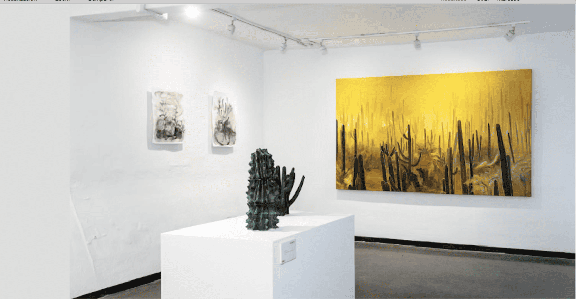 Transitar el desierto