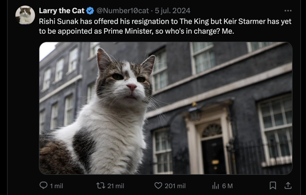 Cumpliendo con la chamba: Gato Larry atrapa su primer ratón frente a las cámaras