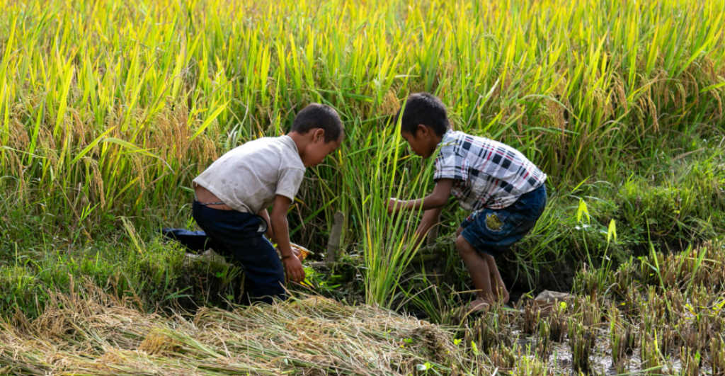 En México, ser niño también significa enfrentar desigualdades: estos son los números del INEGI