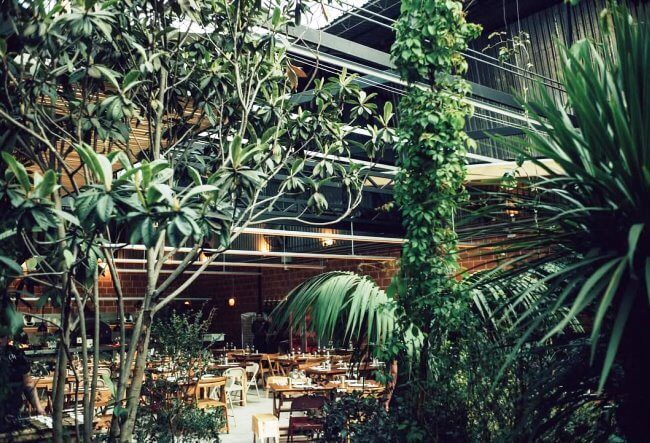 5 restaurantes en medio de la naturaleza para comer con mamá el 10 de mayo