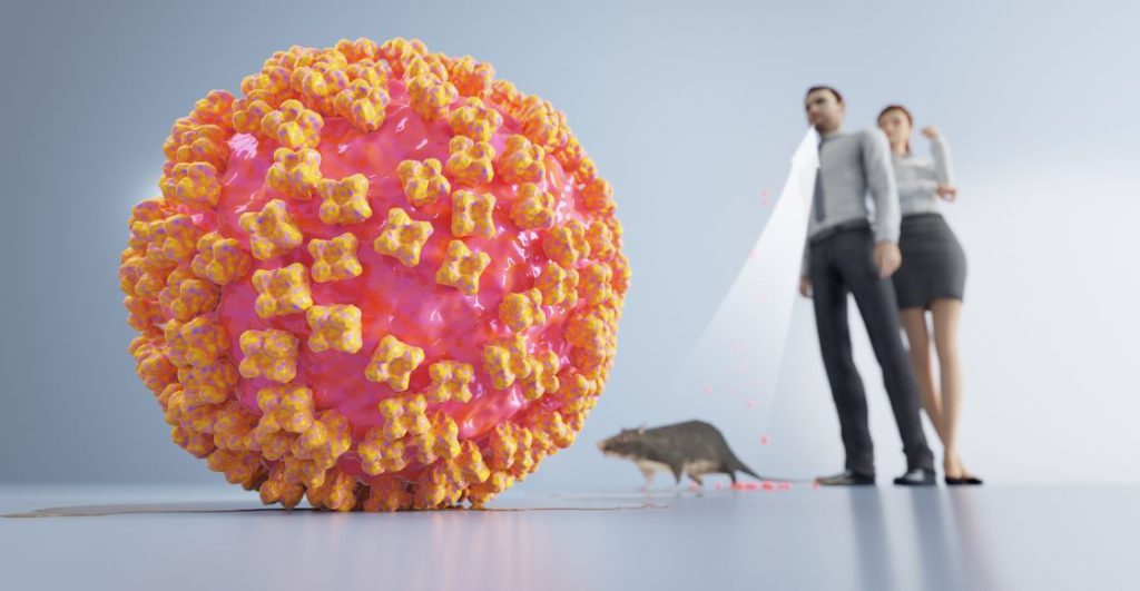¿Hantavirus? Te contamos qué onda con este virus que está dando de qué hablar