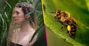 Un velo hecho con alas de abejas: la obra de arte que tardó nueve años en completarse