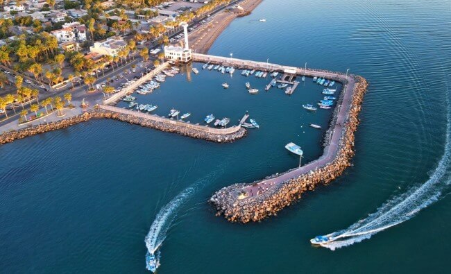 De cómo Bahía de Loreto se levantó para salvar a las ballenas azules