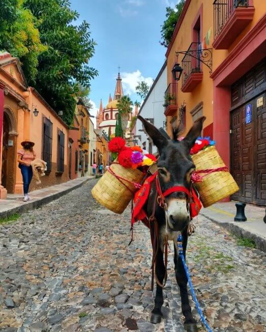 Sobre la mítica calle Aldama (la más bonita de México)