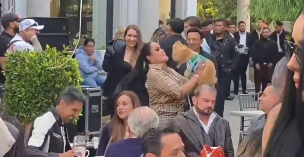 caso-irving-pineda-intento-censura-grabar-maltrato-animal-mariana-gutierrez-desiste-demanda