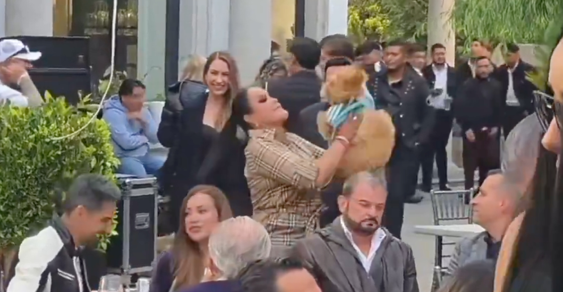 caso-irving-pineda-intento-censura-grabar-maltrato-animal-mariana-gutierrez-desiste-demanda-destacada