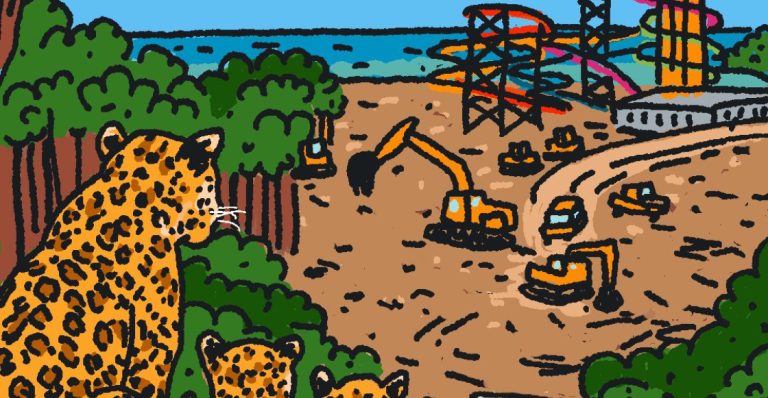 construccion-megaparque-actuatico-perfect-day-mahahual-quintana-roo