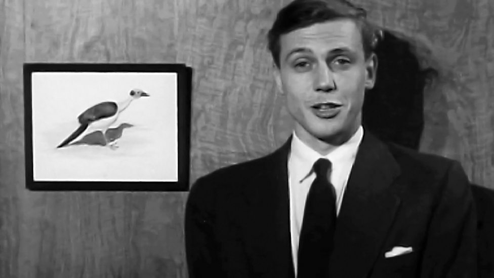 David Attenborough en su primer programa en 1955