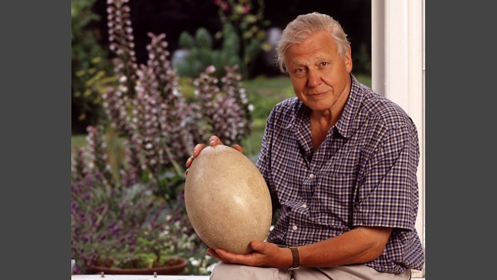 David Attenborough con el mismo huevo que reconstruyó en 1960