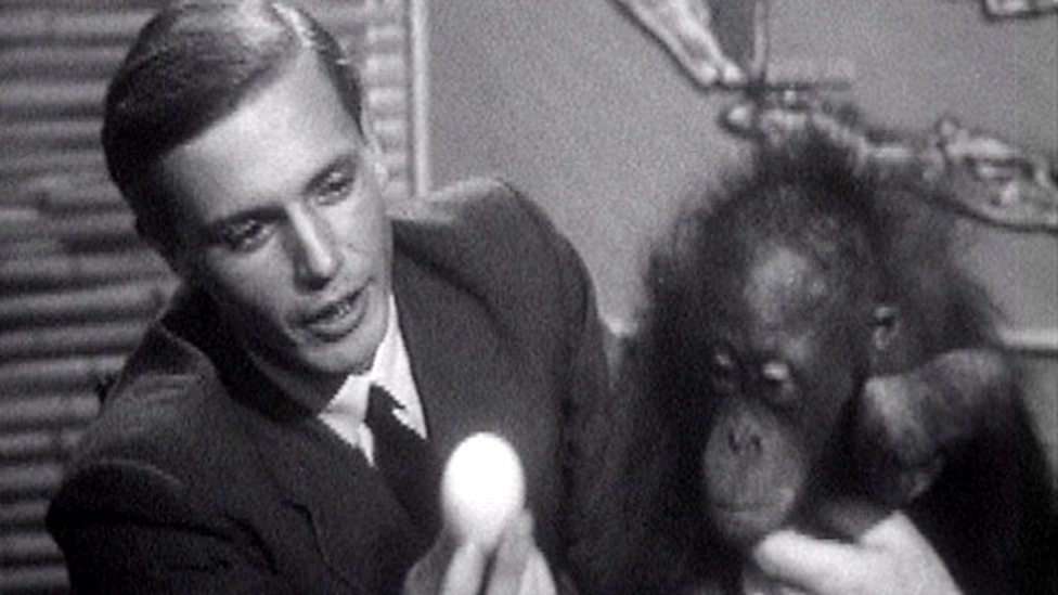 David Attenborough con un primate del zoológico de Londres