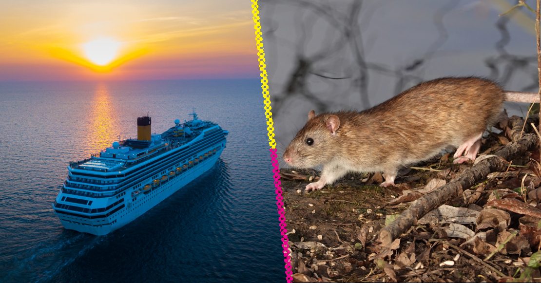 Brote de hantavirus en crucero deja tres muertos en el Atlántico
