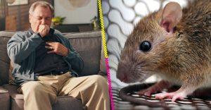 ¿Hantavirus? Te contamos qué onda con este virus que está dando de qué hablar