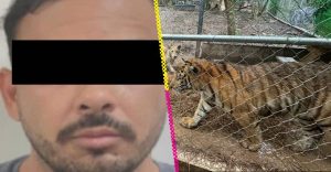 Detienen a José Antonio N, líder del cártel del Noroeste relacionado con el huachicol