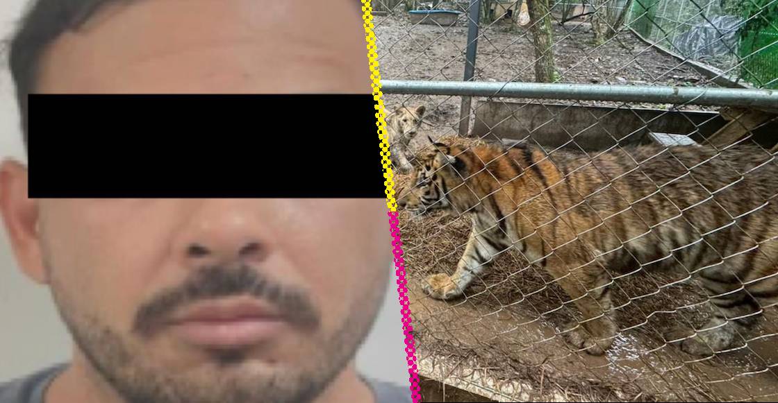 Detienen a José Antonio N, líder del cártel del Noroeste relacionado con el huachicol