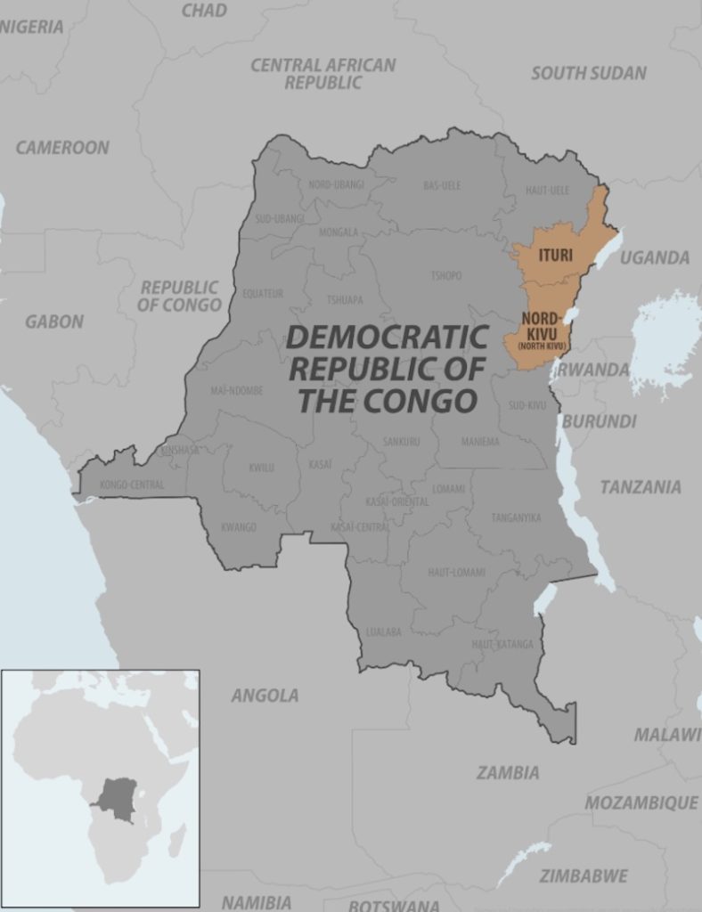 ¿Por qué la OMS alerta de la magnitud y velocidad del ébola en África?