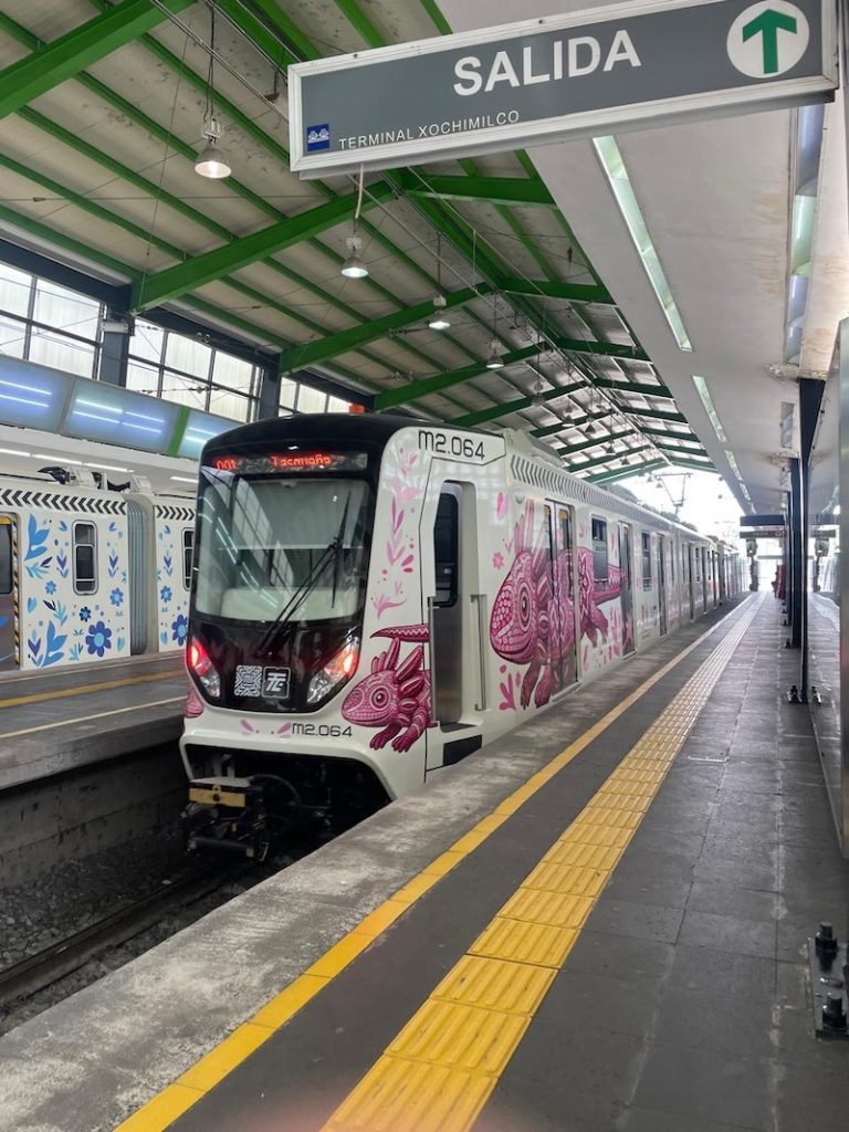 Viajamos en el Ajolote (el Tren Ligero) y, ¿qué tal están los nuevos trenes?