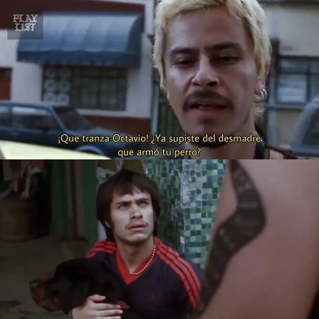 Ya viste el desmadre que armó tu perro meme