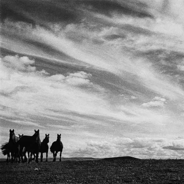Colección de fotografías preciosas de Gabriel Figueroa