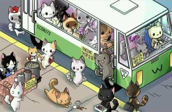 Máximo glosario de la jerga del transporte público