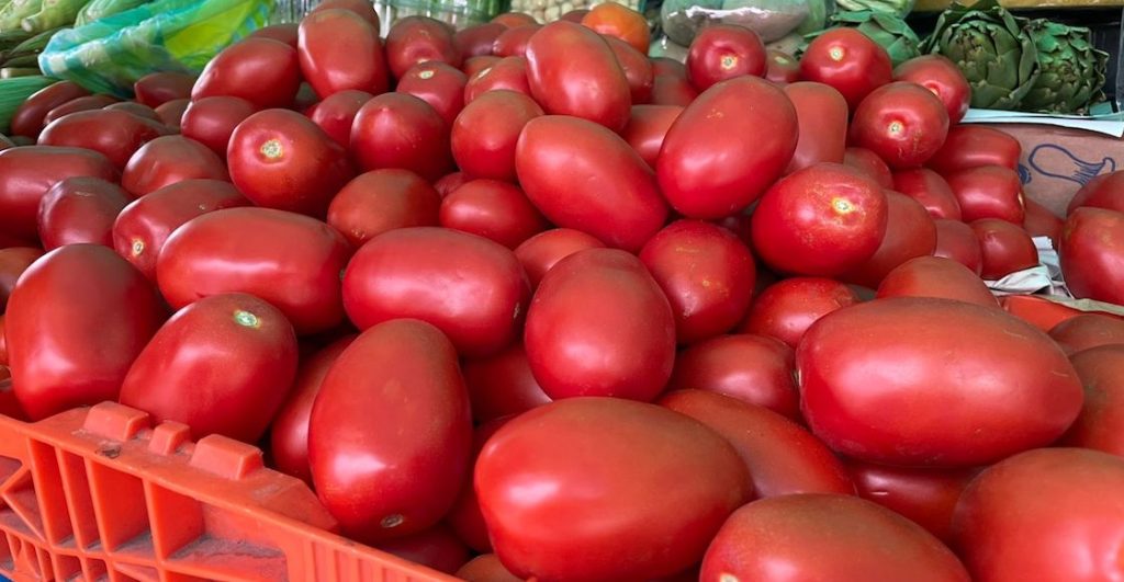 Fuimos al tianguis para saber… por qué está tan caro el jitomate