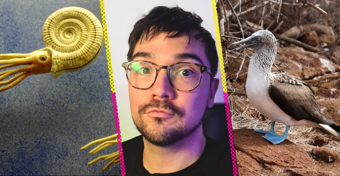 Ciencia rara en México: el libro de José Gotés que mezcla divulgación, humor y rarezas mexicanas