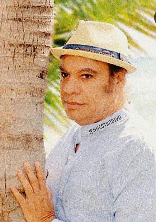Juan Gabriel meme palmera