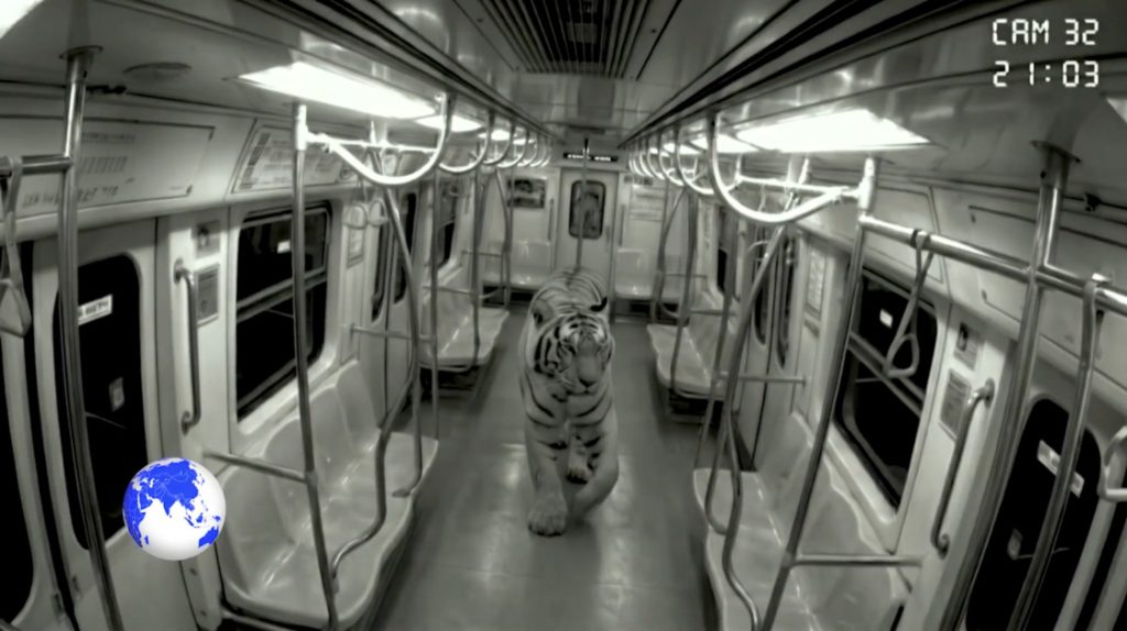 kelloggs tigres