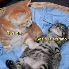 Meme de desamor