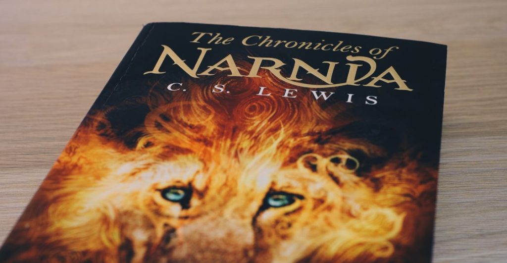 Libro de 'Narnia'