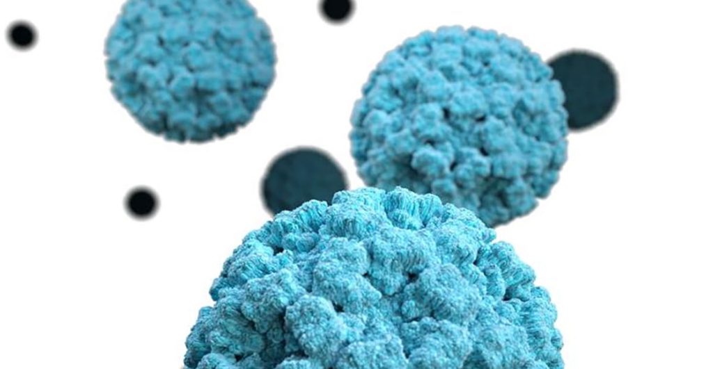 A propósito del brote en un crucero en Florida: Qué es el norovirus