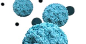 A propósito del brote en un crucero en Florida: Qué es el norovirus