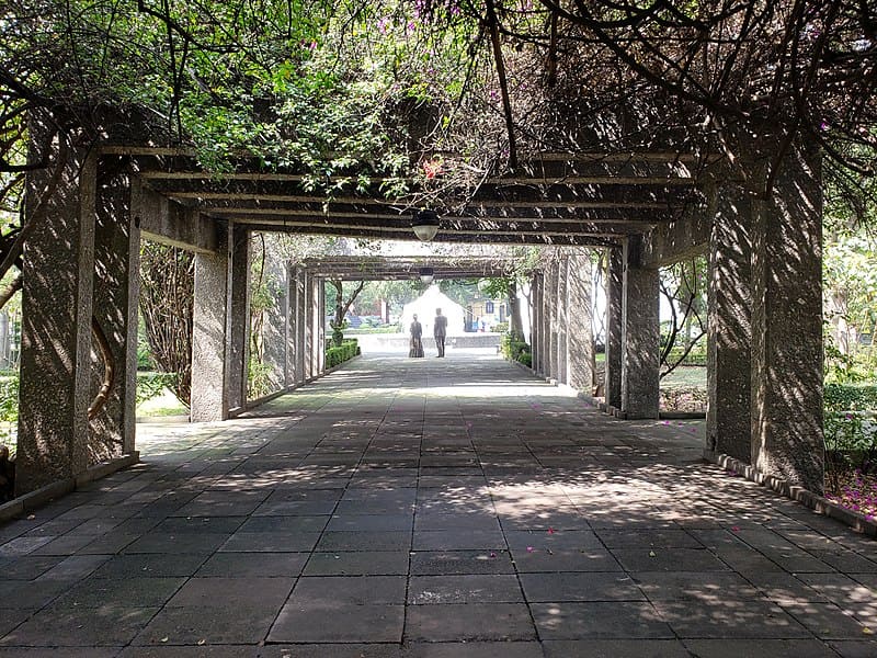 6 parques en Coyoacán