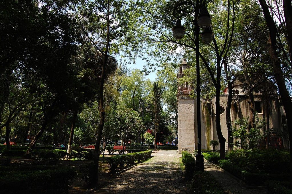 6 parques en Coyoacán