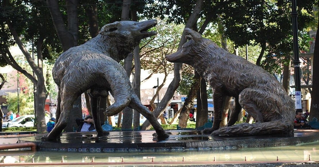 Plan de fin de semana bonito presenta: 6 parques imperdibles de Coyoacán