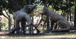 6 parques en Coyoacán