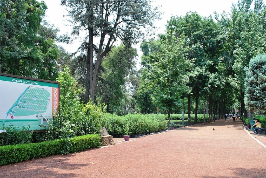 6 parques en Coyoacán
