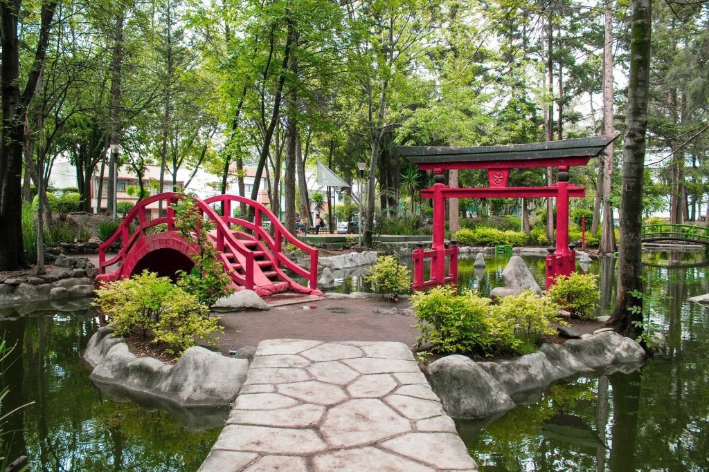6 parques en Coyoacán